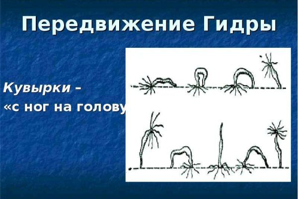 Зайти кракен через тор