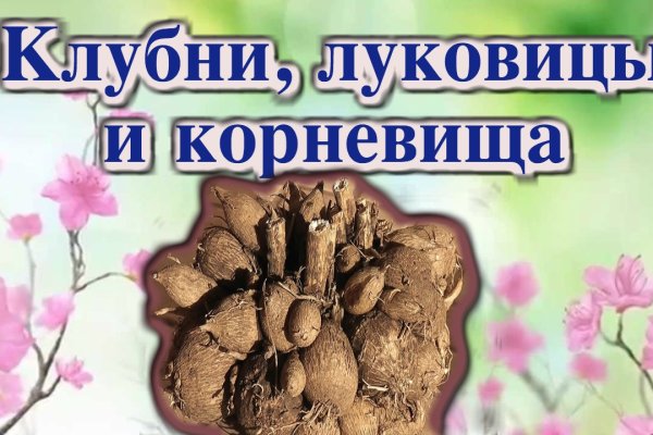 Войти в кракен