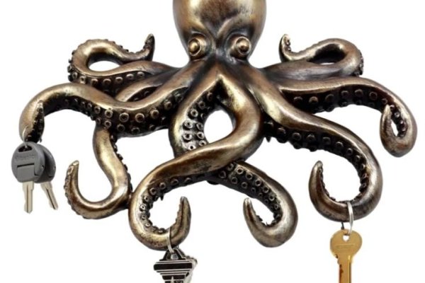 Kraken 6 at