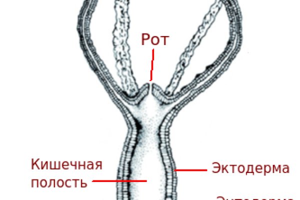 Kra33.cc Вход на сайт главная страница
