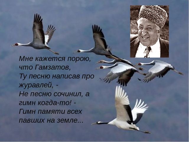 Кракен shop
